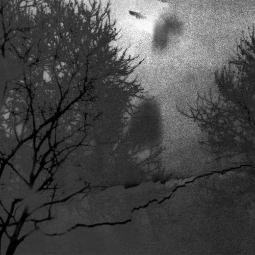 Aube Grise : Mauvais Augure